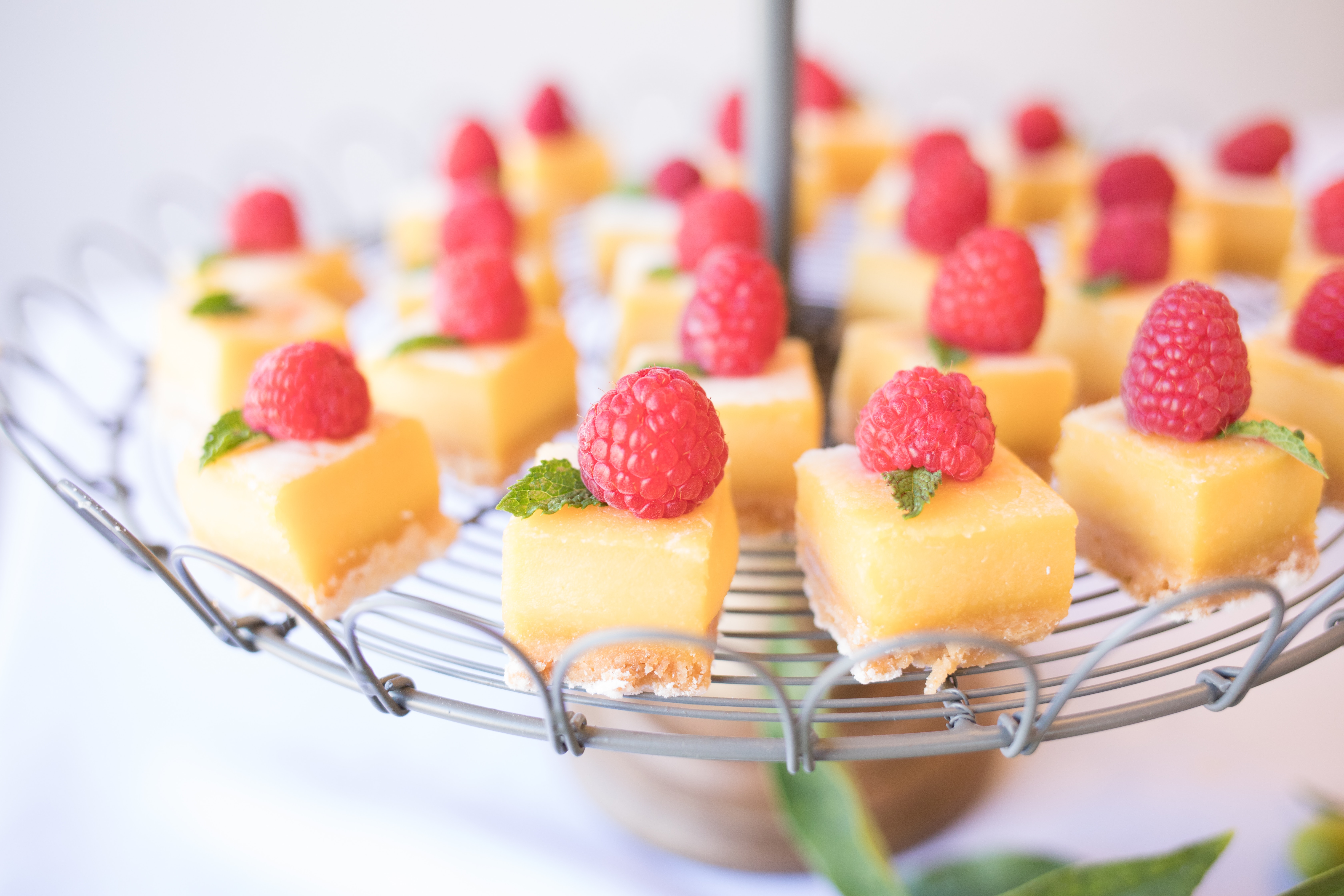 A bunch of lemon squares with raspberries and a piece of mint on top neatly laid out on a dessert tray.